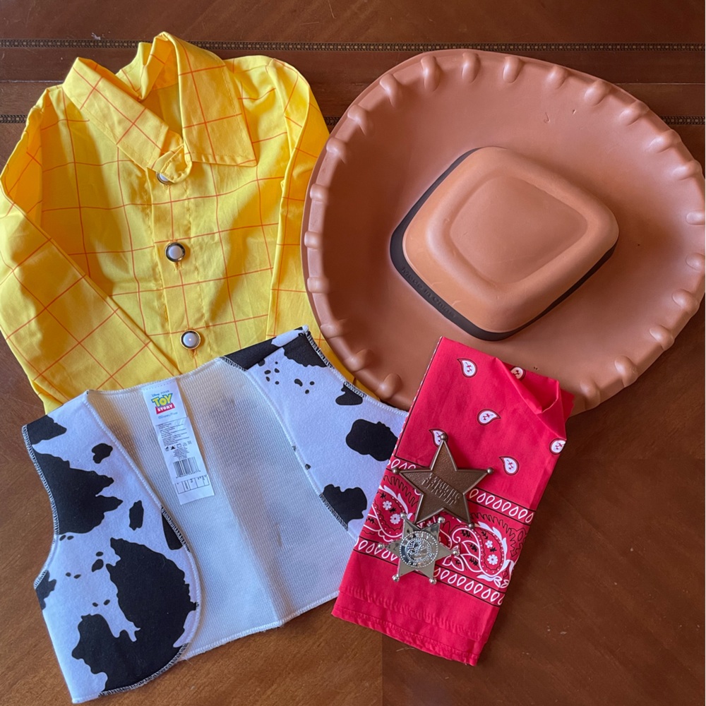 Woody costume pieces. Comes with plaid shirt, vest, hat, bandana and 2 badges.